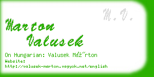 marton valusek business card